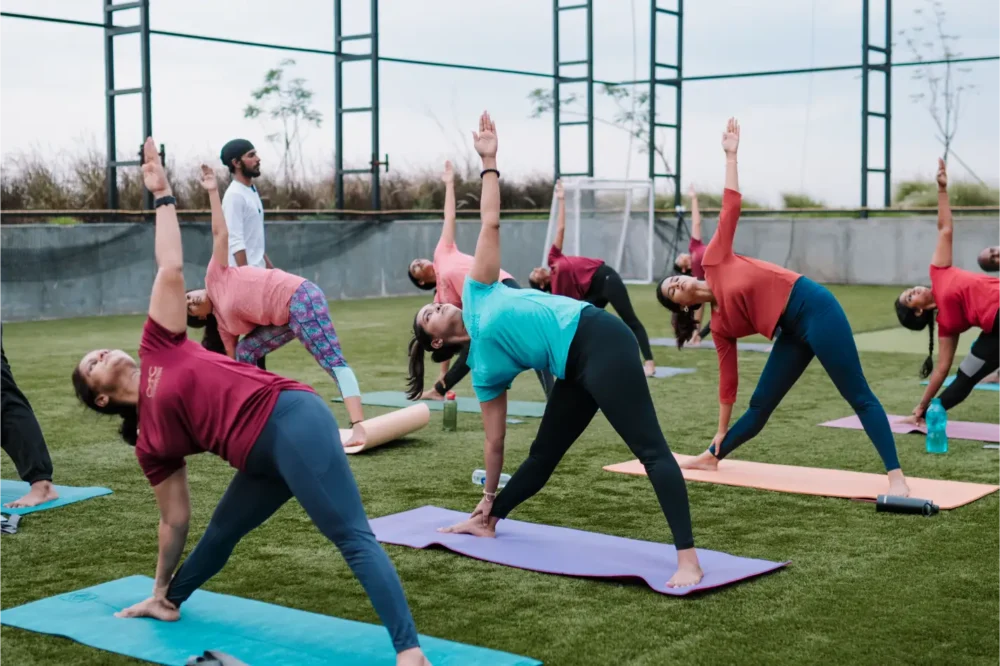 Best Ovulation Improvement Yoga 